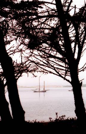 Monterey Bay : S t i l l s : Stephen Sheridan, Cinematographer | Hollywood CA
