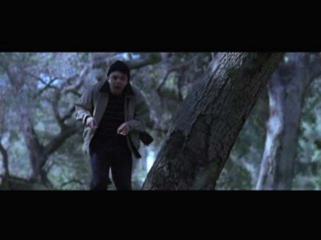  : Shot on Film : Stephen Sheridan, Cinematographer | Hollywood CA