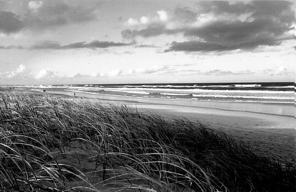 Gold Coast
  : S t i l l s : Stephen Sheridan, Cinematographer | Hollywood CA